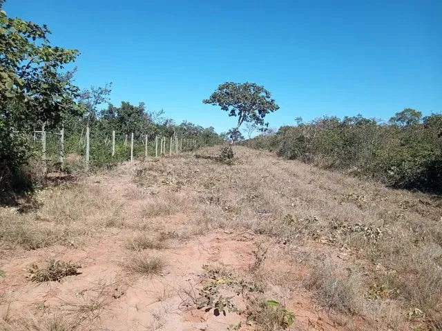 Imagem 1: Vendo Terreno 2.000Mts2