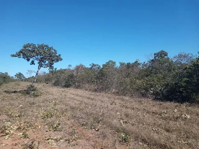 Imagem 2: Vendo Terreno 2.000Mts2