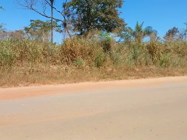 Imagem: Lote/Terreno 5000 M² Rua Manoel Ribeiro