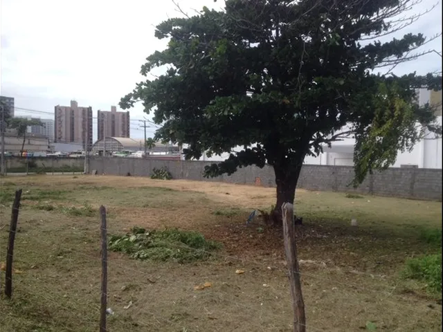 Imagem: Terreno no Dia