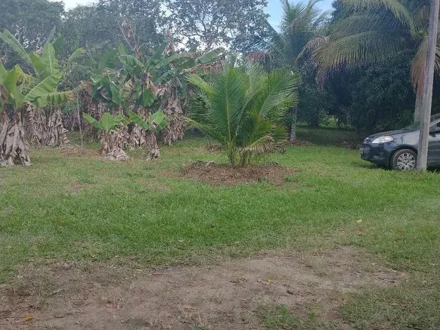 Imagem 6: Sitio Chácara com venda por R$550.000