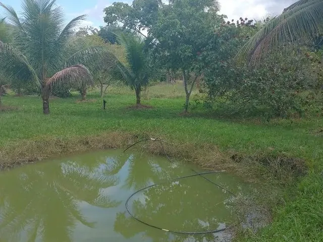 Imagem 4: Sitio Chácara com venda por R$550.000