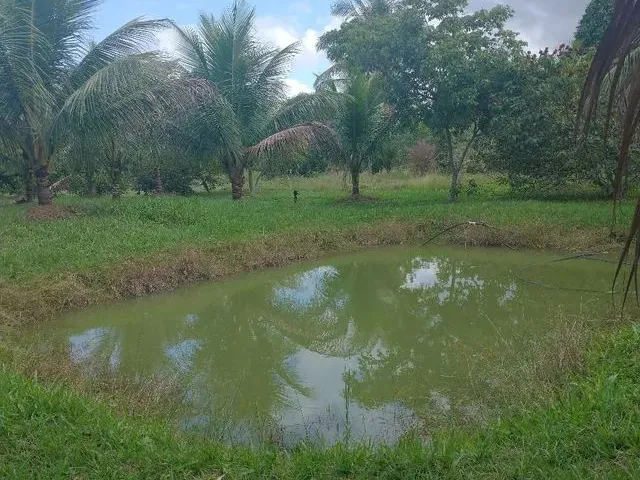 Imagem 2: Sitio Chácara com venda por R$550.000