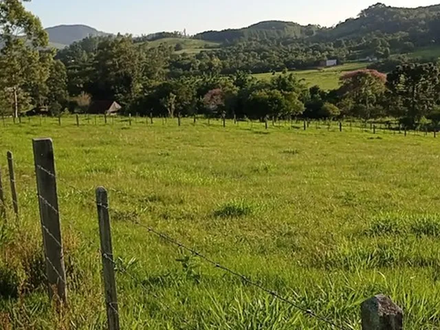 Imagem: Chácara com 2 Hectares com Arroio
