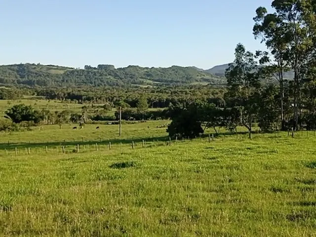 Imagem 4: Chácara com 2 Hectares com Arroio