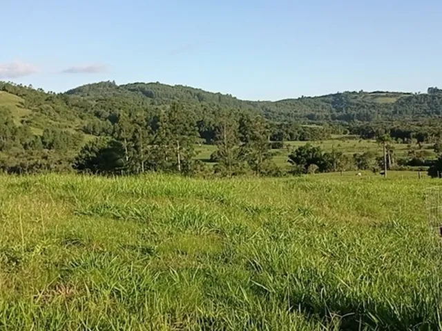 Imagem 9: Chácara com 2 Hectares com Arroio