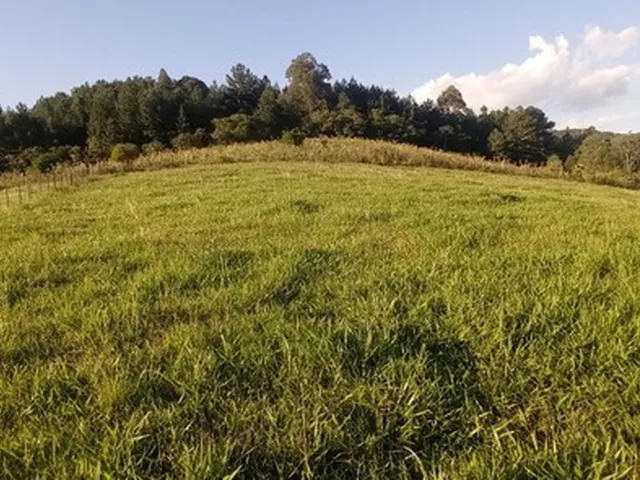Imagem 3: Chácara com 2 Hectares com Arroio