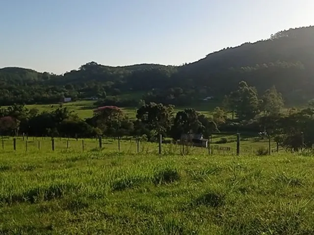 Imagem 10: Chácara com 2 Hectares com Arroio