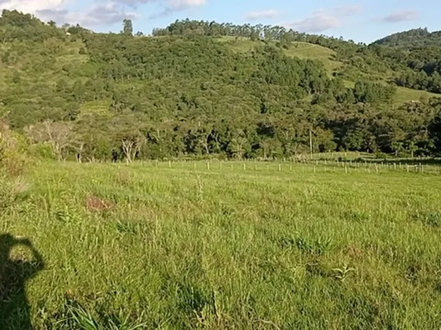 Imagem 11: Chácara com 2 Hectares com Arroio
