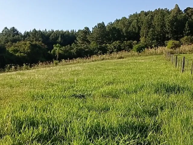Imagem 2: Chácara com 2 Hectares com Arroio
