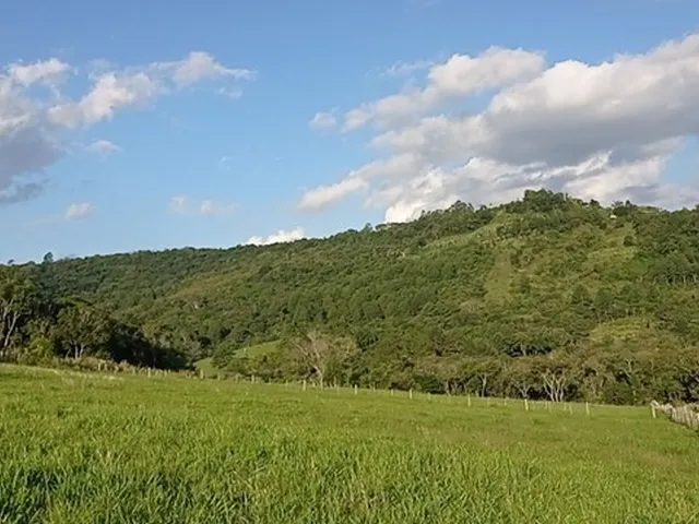 Imagem 16: Chácara com 2 Hectares com Arroio