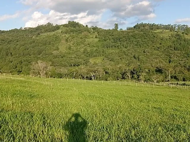 Imagem 15: Chácara com 2 Hectares com Arroio
