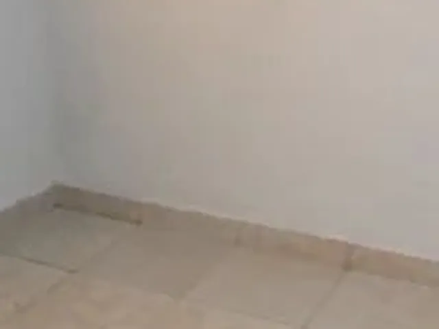 Imagem: Aluga -Se Kit de Fundo Só para Mulheres