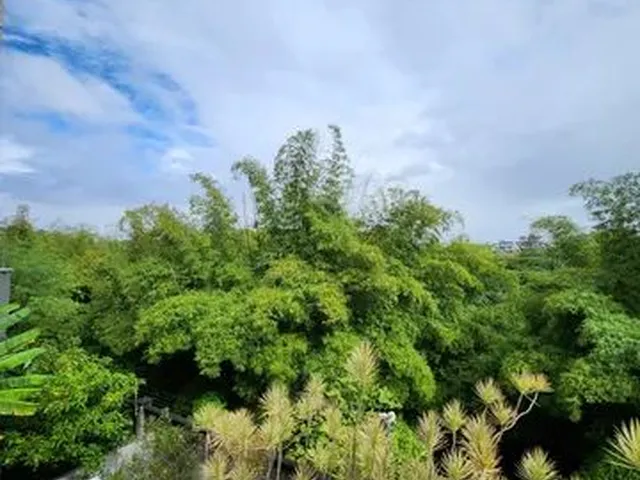 Imagem 12: Casa para Aluguel Possui 390 Metros Quadrados com 4 Quartos em Alphaville (Abrantes) - Cam