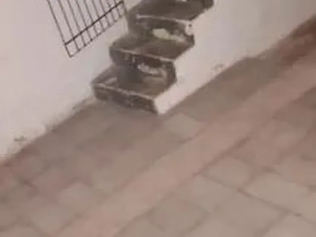 Imagem 7: Casa pra Alugar Próximo Garbosa da Feirinha