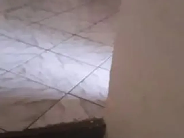 Imagem 6: Apartamento 3/4 1°Andar, São Caetano