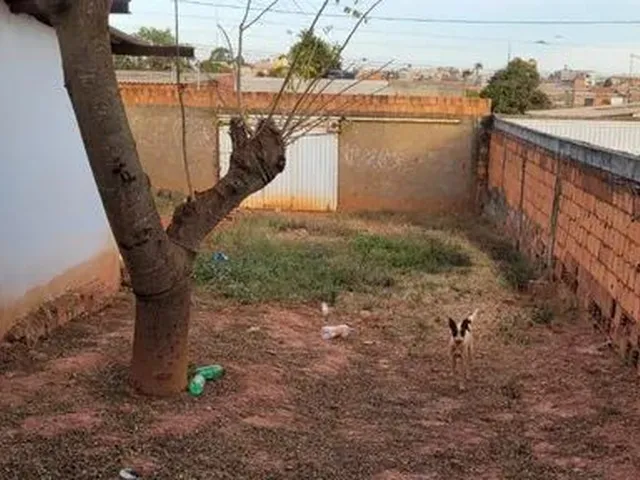 Imagem 7: Alugo Um Quarto com Banheiro e a Área de Serviço