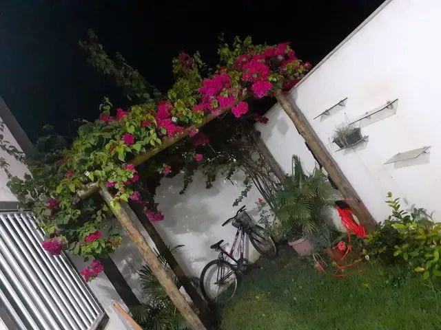 Imagem: Alugo Casa