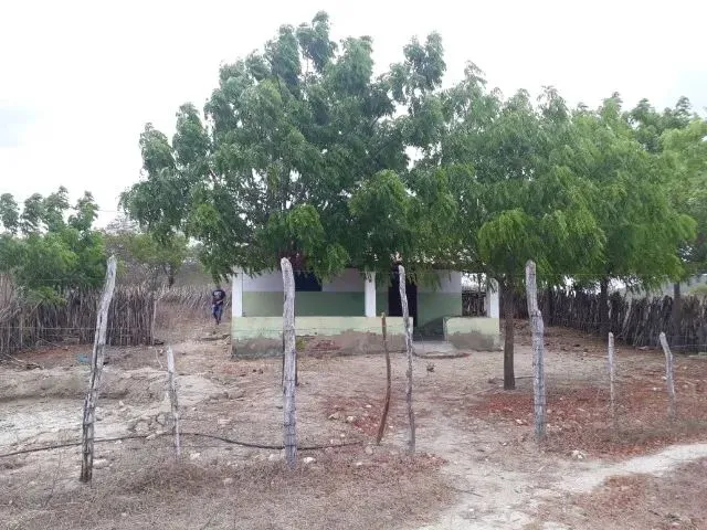 Imagem 10: Fazenda Entre Paramoti e General Sampaio - 250Ha. Oportunidade!