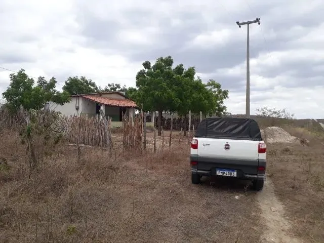 Imagem 11: Fazenda Entre Paramoti e General Sampaio - 250Ha. Oportunidade!