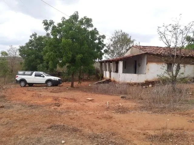 Imagem 12: Fazenda Entre Paramoti e General Sampaio - 250Ha. Oportunidade!