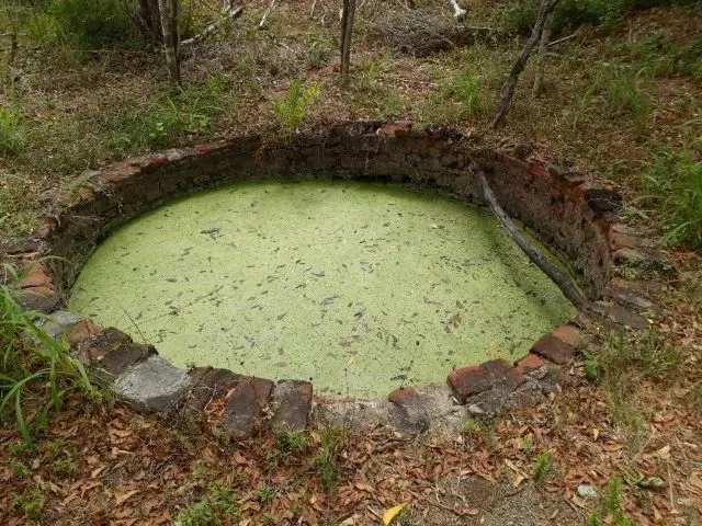 Imagem 13: Fazenda Entre Paramoti e General Sampaio - 250Ha. Oportunidade!