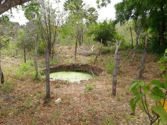Imagem 14: Fazenda Entre Paramoti e General Sampaio - 250Ha. Oportunidade!