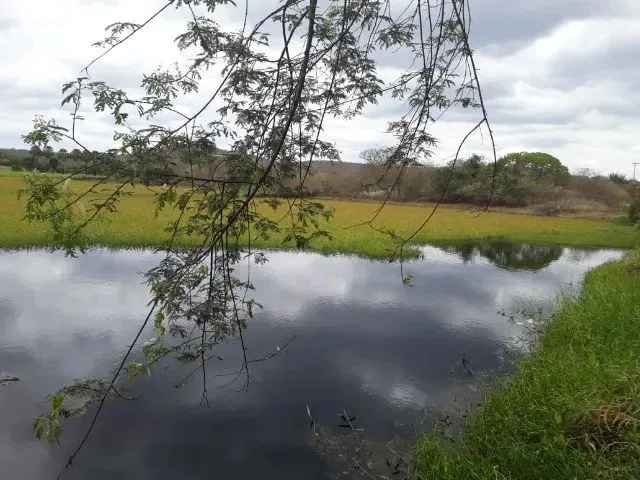 Imagem 2: Fazenda Entre Paramoti e General Sampaio - 250Ha. Oportunidade!