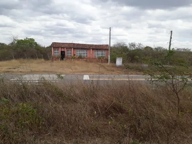 Imagem 4: Fazenda Entre Paramoti e General Sampaio - 250Ha. Oportunidade!