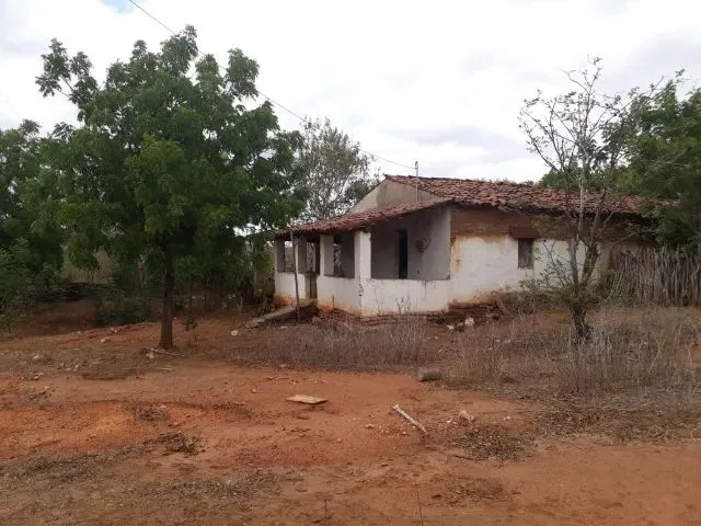 Imagem 5: Fazenda Entre Paramoti e General Sampaio - 250Ha. Oportunidade!