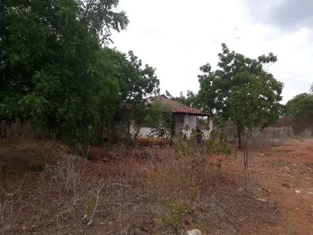 Imagem 6: Fazenda Entre Paramoti e General Sampaio - 250Ha. Oportunidade!