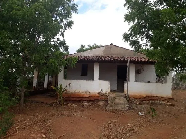 Imagem 7: Fazenda Entre Paramoti e General Sampaio - 250Ha. Oportunidade!