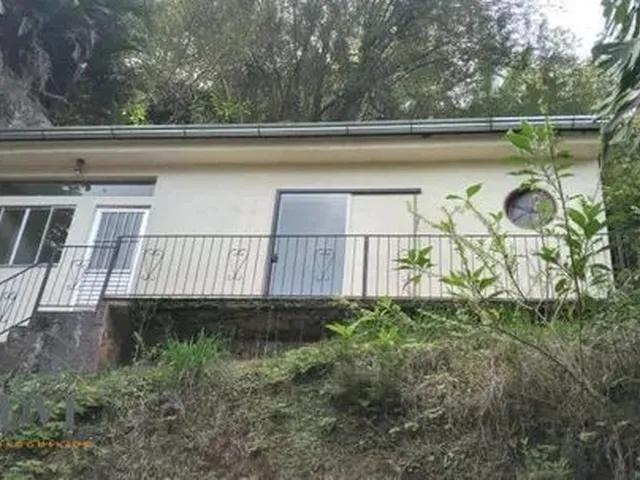 Imagem 11: Petrópolis - Casa Padrão - Corrêas