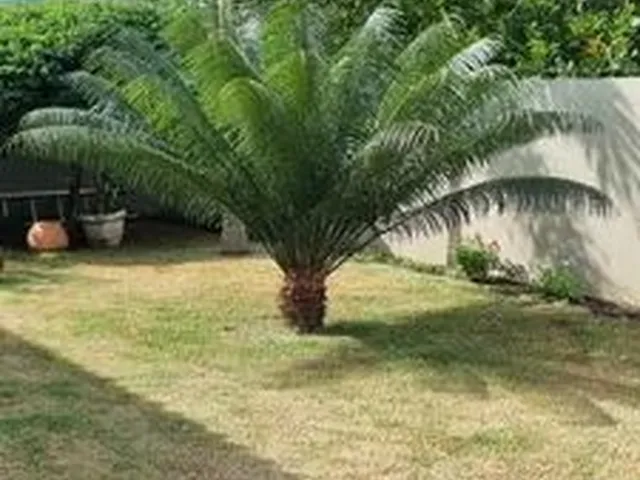 Imagem 10: Casa À Venda no Monte Líbano