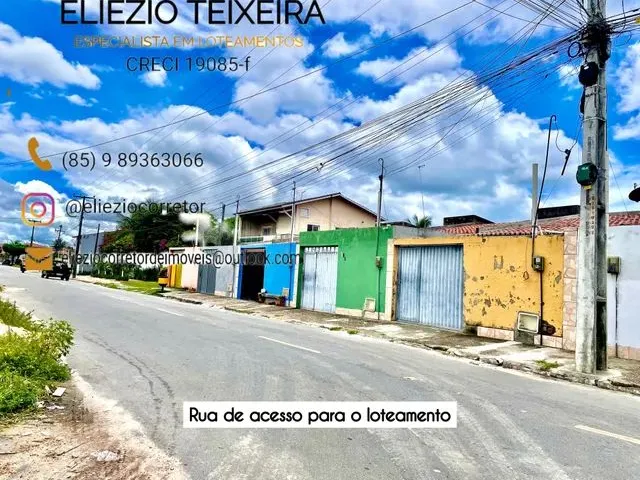 Imagem 13: Loteamento Parque dos Coqueiros em Paracuru