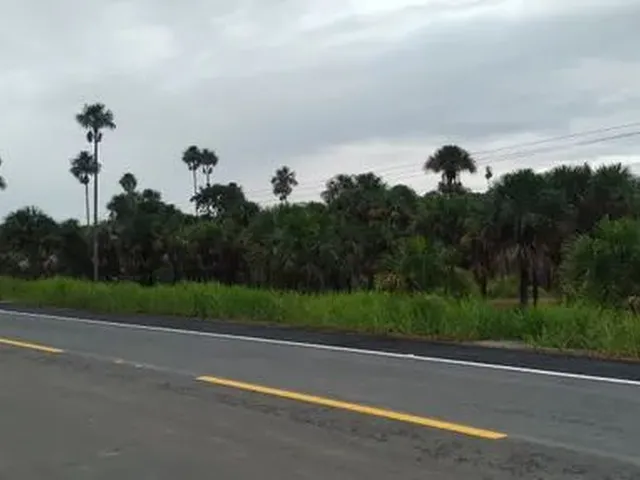 Imagem 3: Sitio e Terreno Chácara com venda por R$380.000