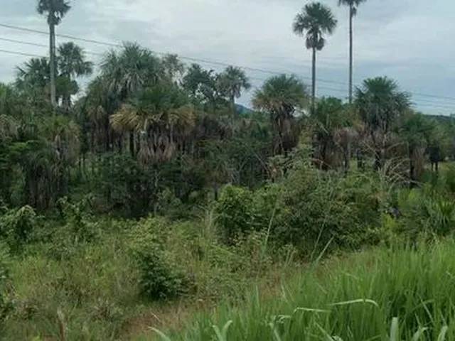 Imagem 6: Sitio e Terreno Chácara com venda por R$380.000