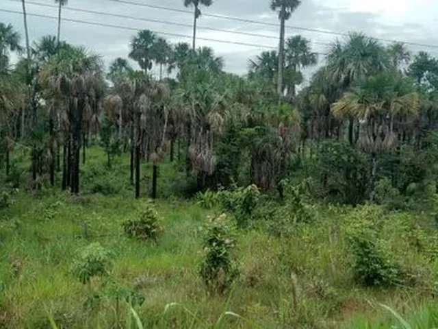 Imagem 7: Sitio e Terreno Chácara com venda por R$380.000