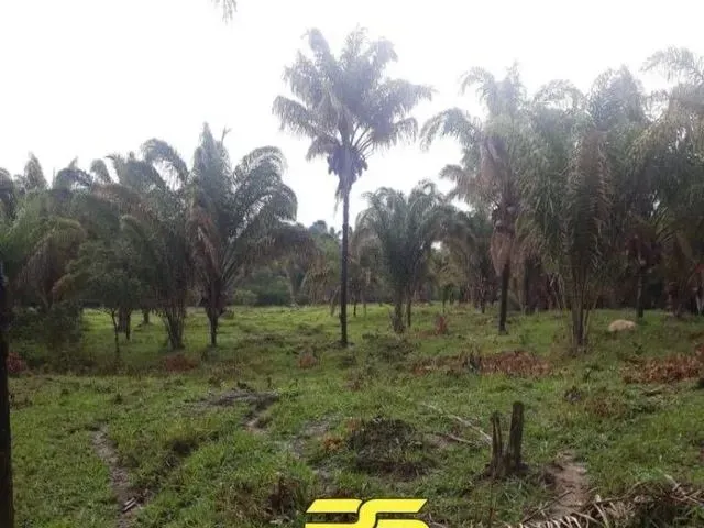 Imagem: Fazenda À Venda, 5.593Ha² por R$ 11.000.000