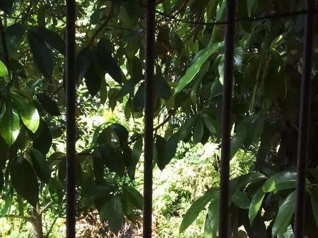 Imagem 9: Quitinete Altos e Baixos