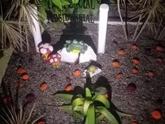 Imagem 8: Aluguel de Casa em Piedade