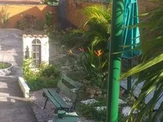 Imagem 4: Aluguel de Casa em Piedade
