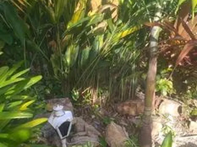 Imagem 11: Aluguel de Casa em Piedade
