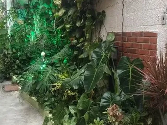 Imagem 14: Aluguel de Casa em Piedade