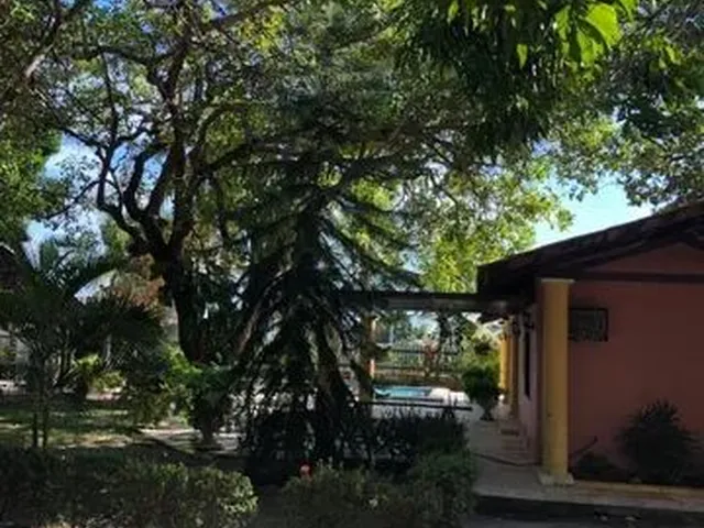 Imagem 5: Vendo Sítio em Aquiraz-Ce Excelente