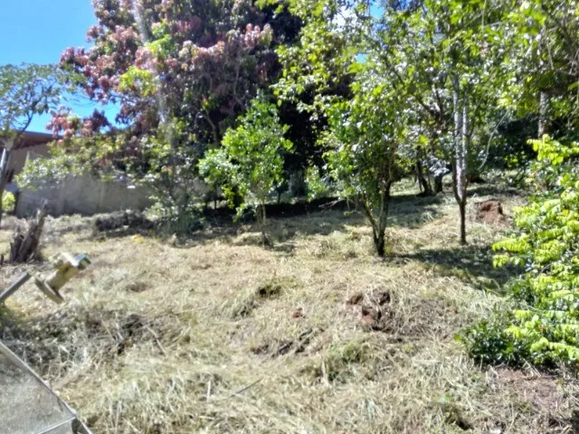 Imagem 8: Chácara de 5.000M² em Jambeiro - Sp