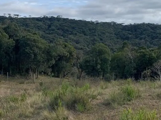 Imagem: Vendo Terreno em Rancho Queimado Aceito