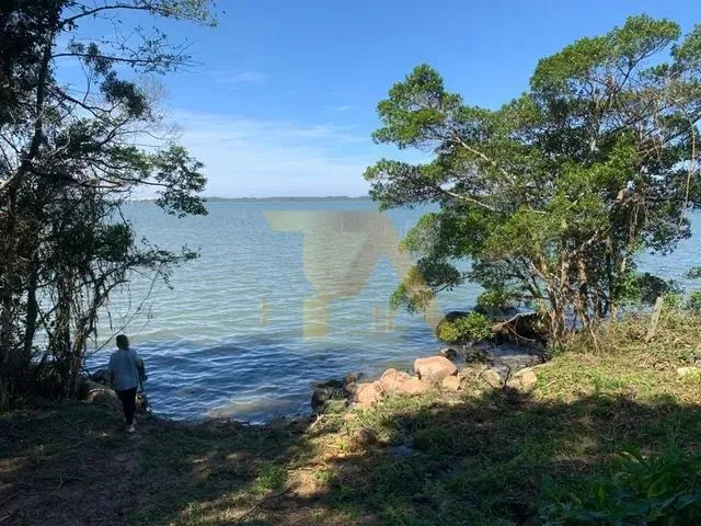 Imagem: Sítio com Mais de 2 Hectares a Venda em
