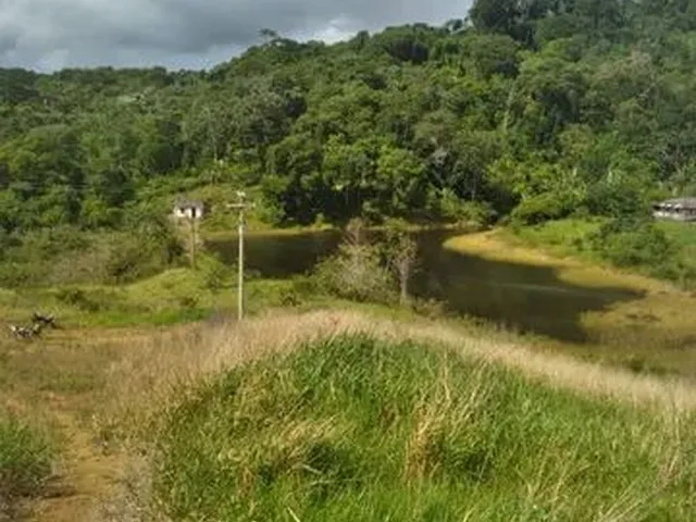 Imagem: A fazenda possui 23m² de Área e está localizado em Linha