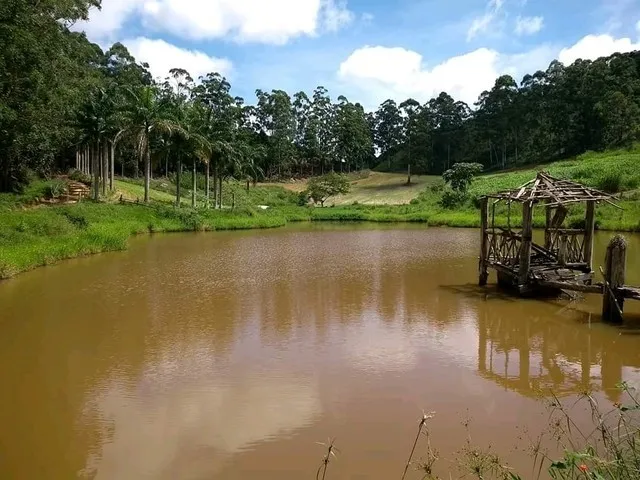 Imagem: Fazenda Maravilhosa no Sul do Espírito
